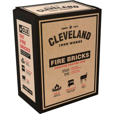 4.5 in. x 9 in. Fire Brick (6-Pack)